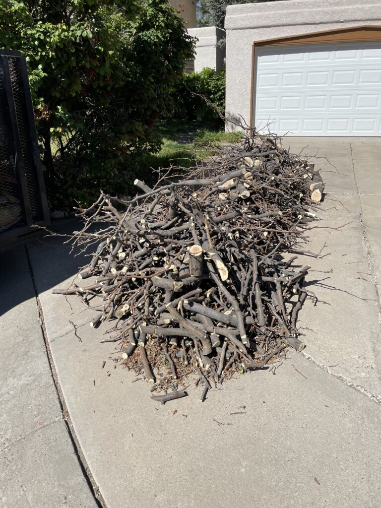 Best Tree Removal & Branch Removal Service in Albuquerque A1