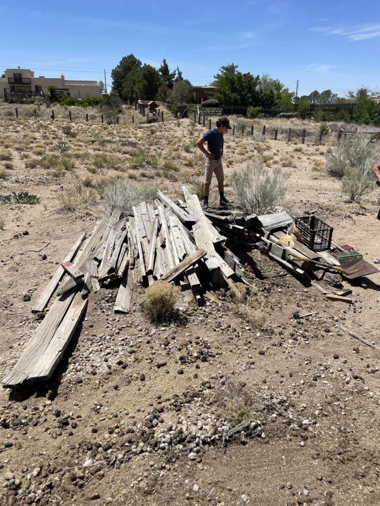 Wood Removal in Albuquerque